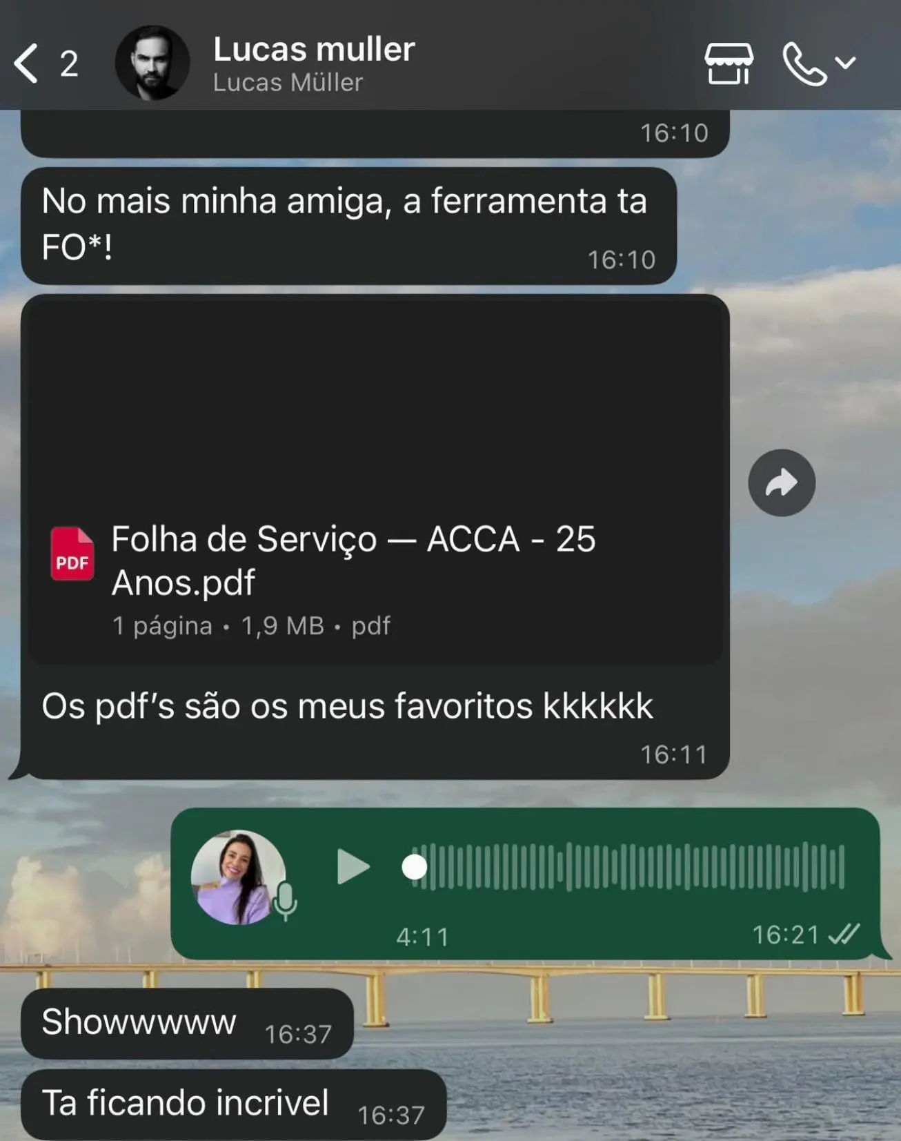 Depoimento Lucas Muller